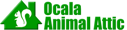 Ocala Animal Attic